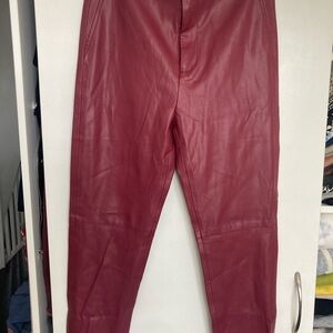 Zara Burgundy Maroon  Skinny Pants faux leather size S